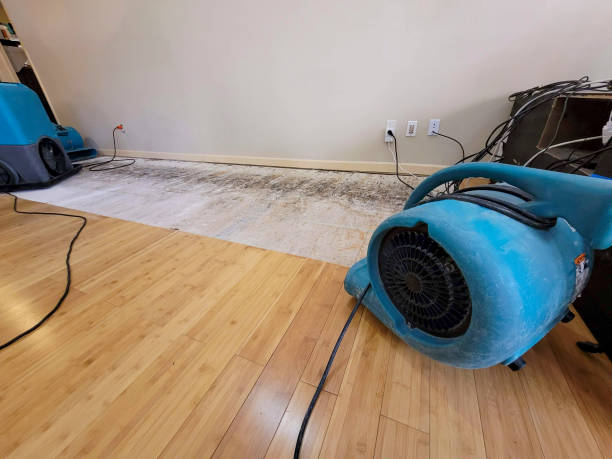 Professional Water Damage Repair technician working in Woodland, CA